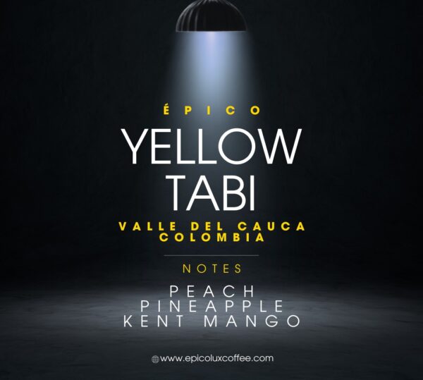 yellow tabi 1